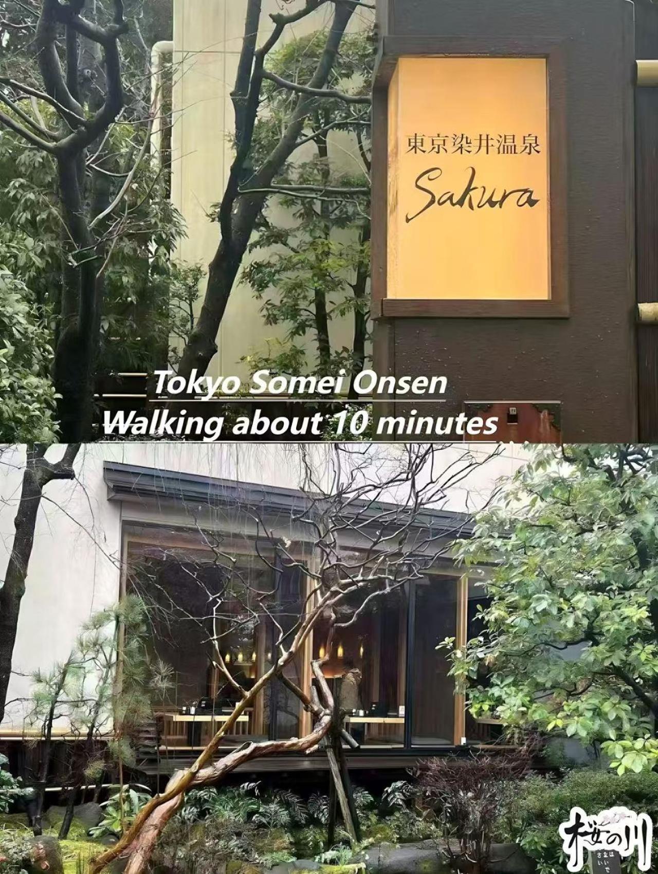 桜の川4 Sugamo Diamond Mansion 402 Direct To Ikebukuro Yamanote Line 5mins Appartamento Tokyo